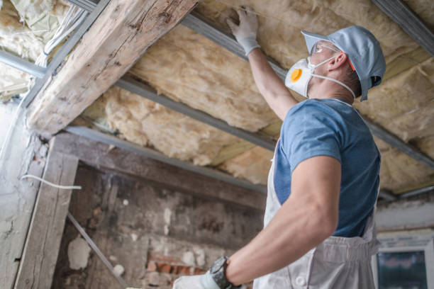 Best Insulation Materials and Products in Shelby, OH