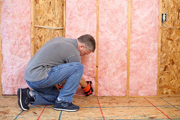 Best Residential Insulation in Shelby, OH